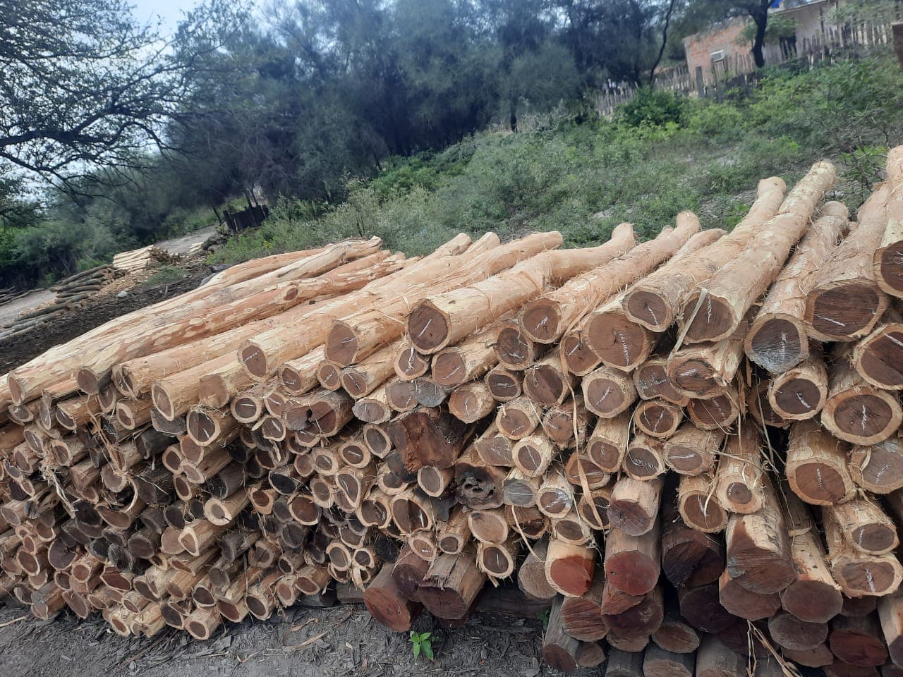 Envíos a todo el país